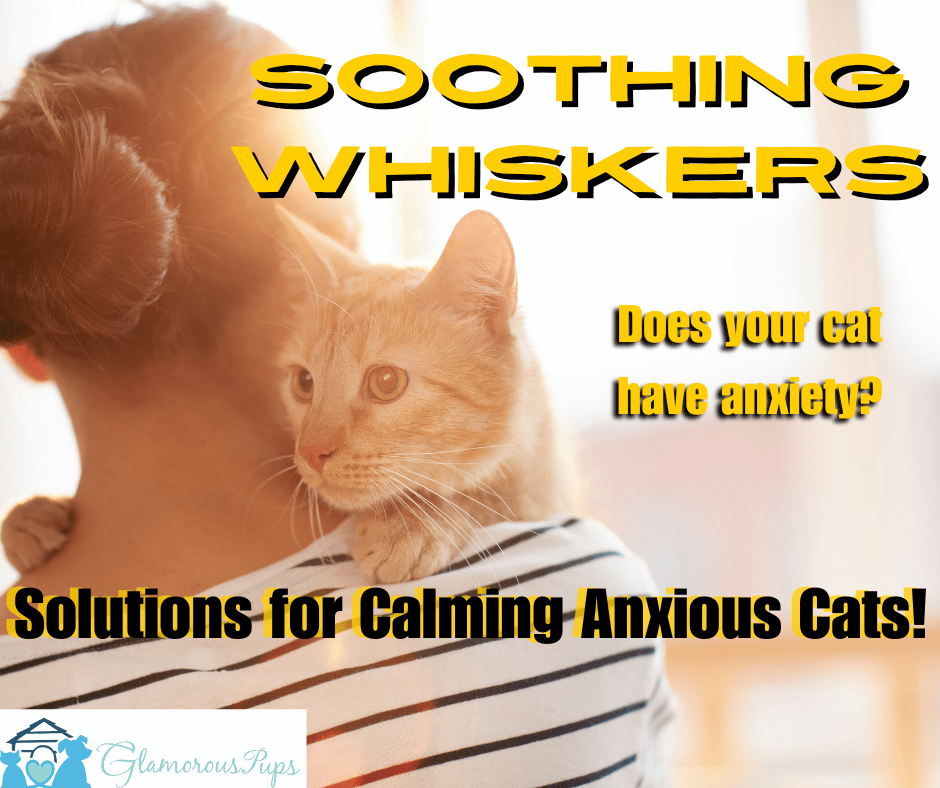 Image result for Soothing Whiskers: Holistic Solutions for Calming Anxious Cats ...