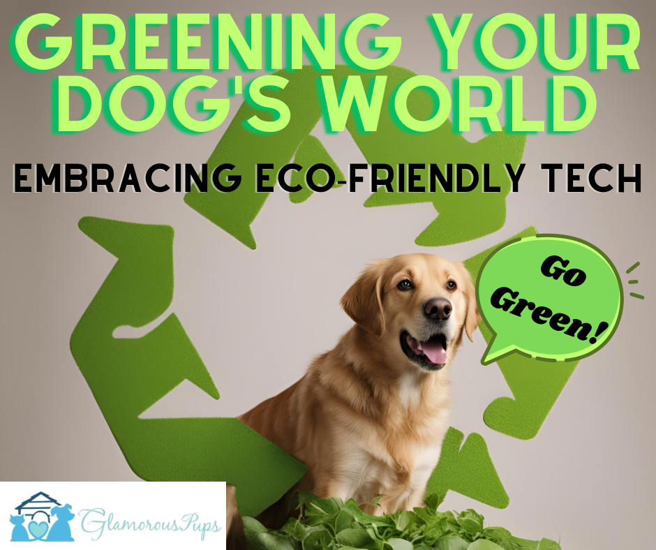 Greening Your Dog's World: Embracing Eco-Friendly Tech