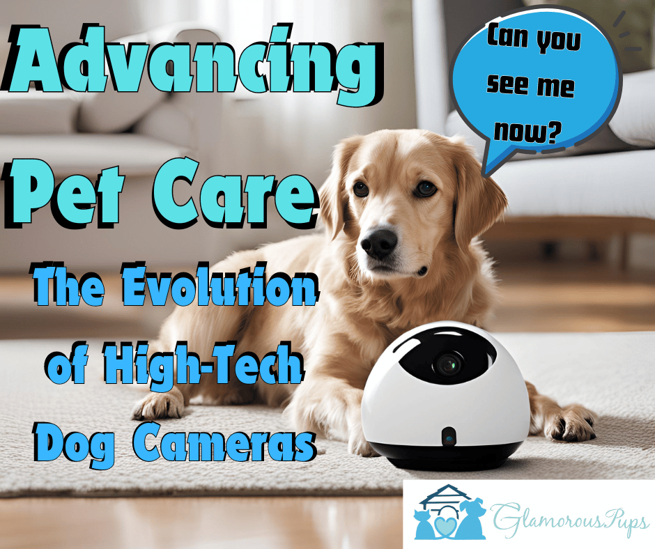 Advancing Pet Care: The Evolution of High-Tech Dog Cameras