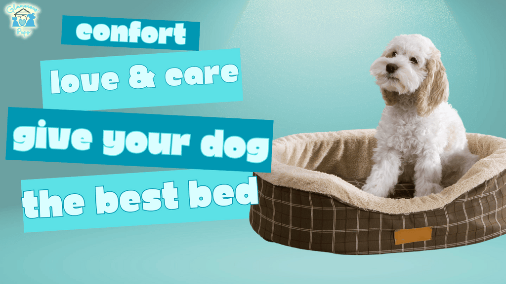 Find the Perfect Dog Bed Comfort Meets Innovative Design!