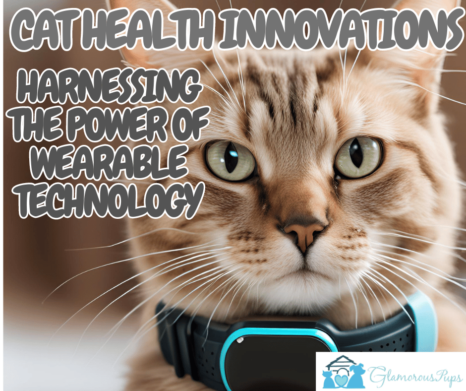 Cat Health Innovations: Harnessing the Power of Wearable Technology