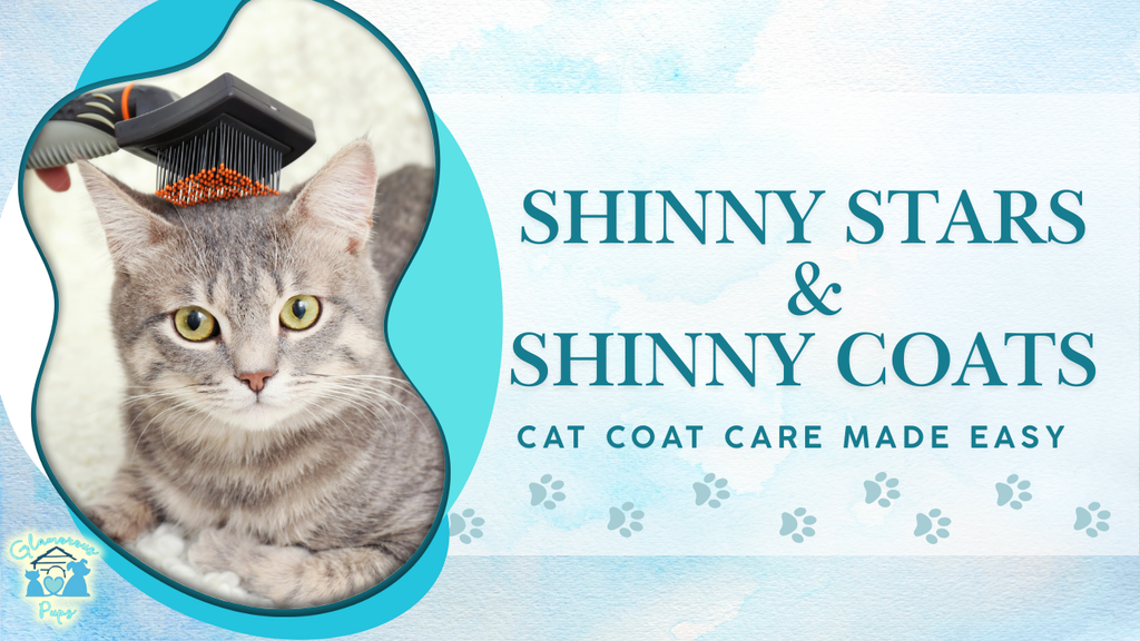 Shiny Coats & Happy Cats: Expert Brushing Tips for Your Fabulous Feline! 🐾✨