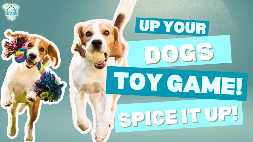 Tail Wagging Fun: Pick the Perfect Toys for a Happy, Healthy Pup!