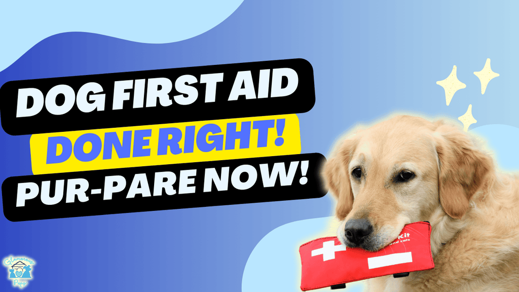 First Aid for Furry Friends: Empowering Dog Parents to Keep Pups Safe!