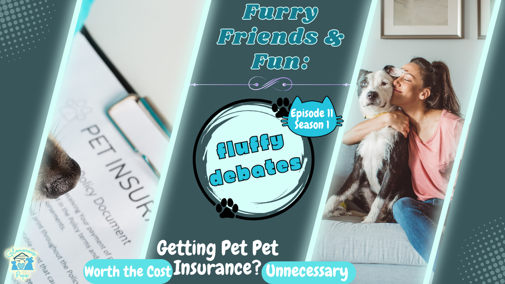 E11 S1: Pet Insurance – Worth the Cost or Unnecessary Expense?