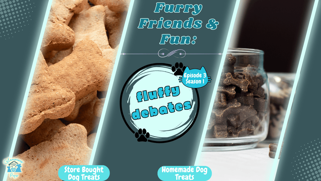 Furry Friends & Fun: Fluffy Debates – Homemade Dog Treats vs. Store-Bought: Which Is Better?