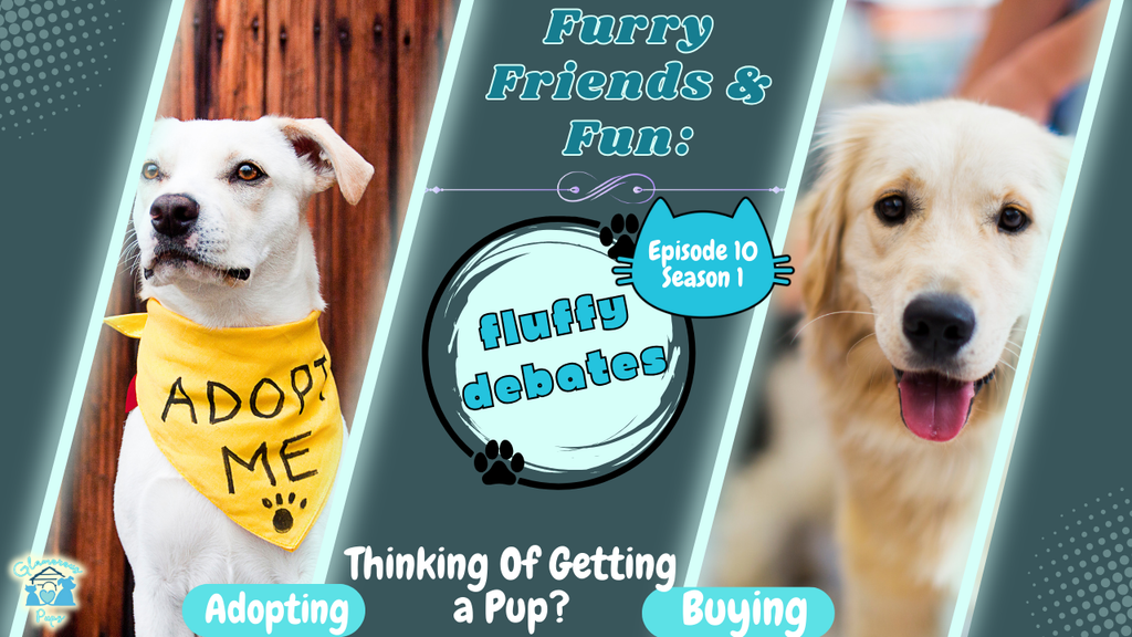 Episode 10, Season 1: Adopting vs. Buying Pets – Which Is Better for You? 🐾❤️