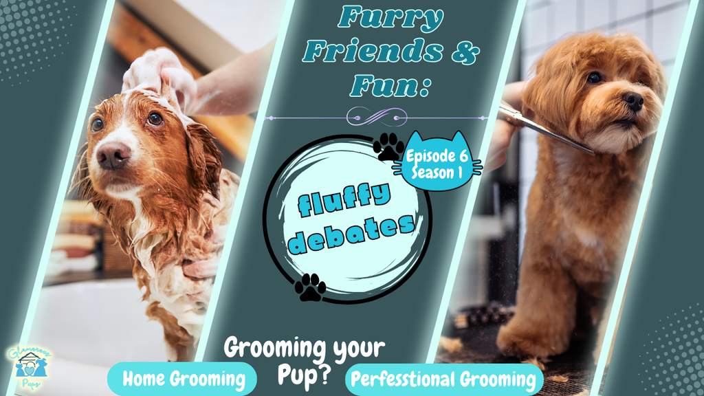 Episode 6: Home Dog Grooming vs. Professional Groomer – Which Is Better for Your Pup?