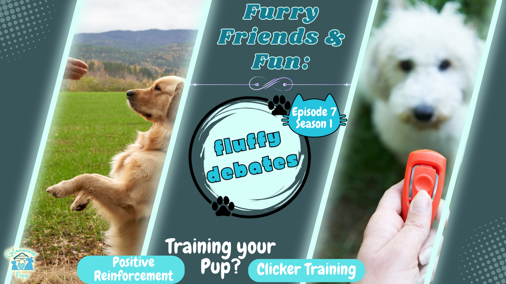 Furry Friends & Fun Podcast: Dog Training Best Methods – Finding the Perfect Fit for Your Pup! 🎙️🐾