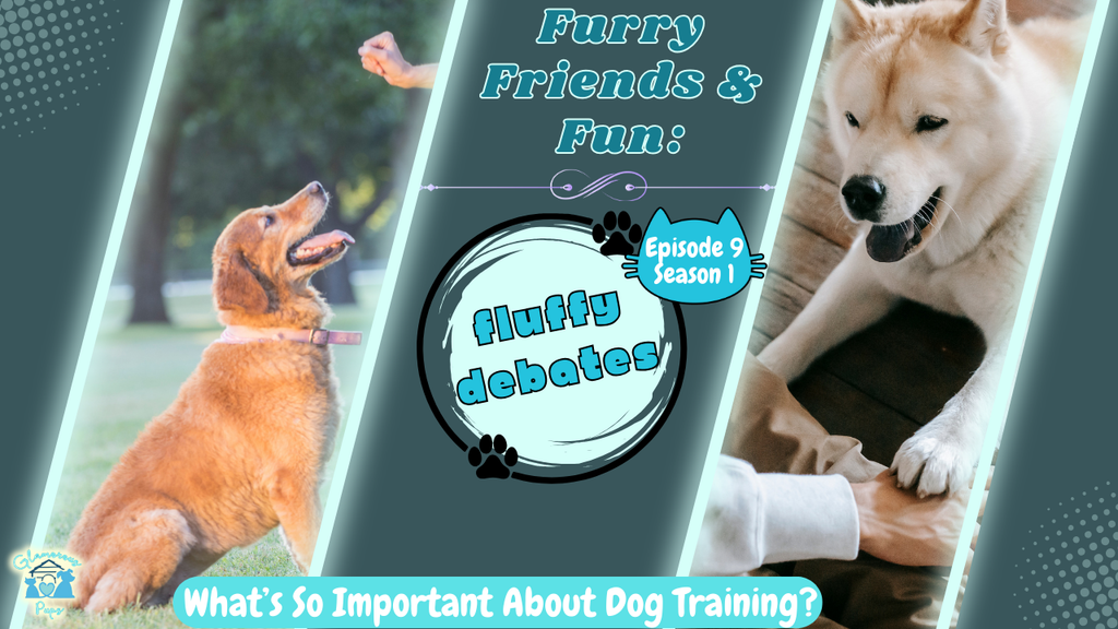 Episode 9, Season 1: The Importance of Dog Training – Setting Your Pup Up for Success! 🐾🎓