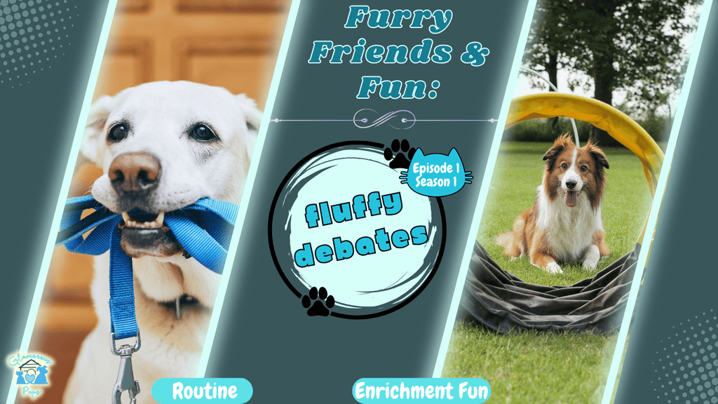 Furry Friends and Fun Fluffy Debates E1 S1