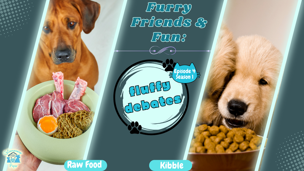 Furry Friends & Fun: Fluffy Debates – Raw Food vs. Kibble: Which Is Best for Your Pet? E4 S1