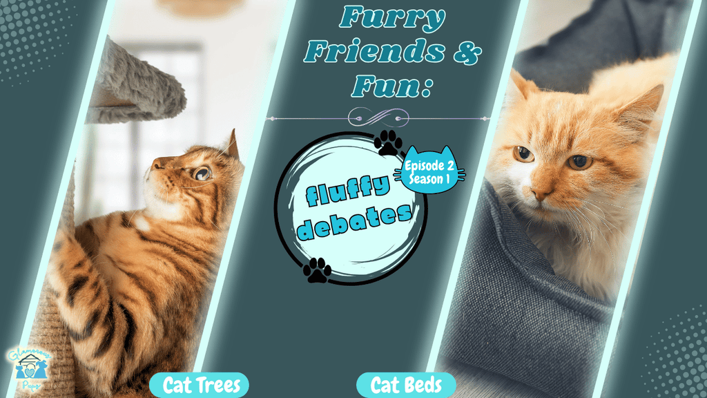 Furry Friends & Fun: Fluffy Debates - Cat Trees vs. Cat Beds: Which is Better for Your Feline Friend?