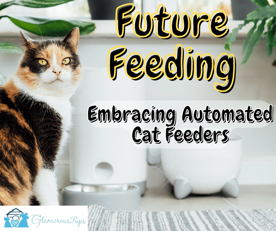 Future Feeding: Embracing Automated Cat Feeders