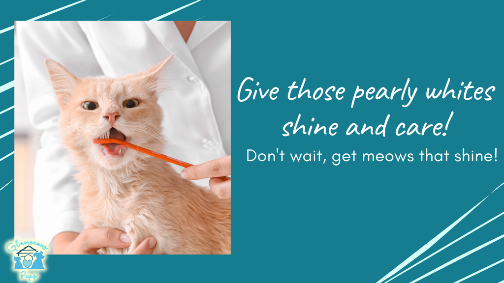 Say Goodbye to Cat Breath: Easy Dental Care Tips for Healthy Kitty Smiles!