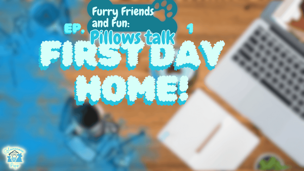 Furry Friends & Fun Pillows Talk E1 S1 - First Day Home