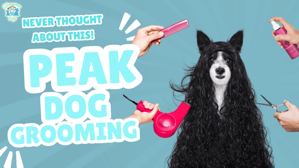 Expert Dog Grooming Techniques for Optimal Health and Comfort