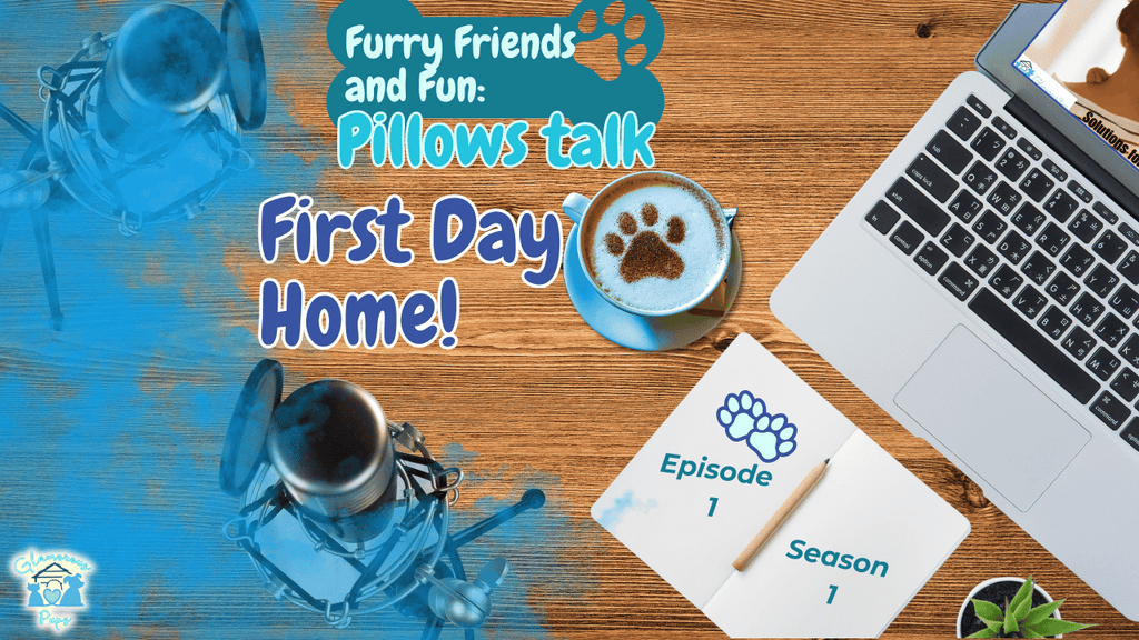 Furry Friends & Fun Pillows Talk E1 S1 - First Day Home