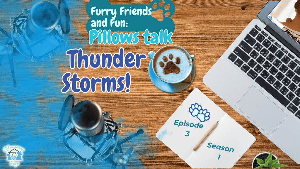 Furry Friends & Fun: Pillows Talk - Thunderstorms: Calming Your Dog During Stormy Weather