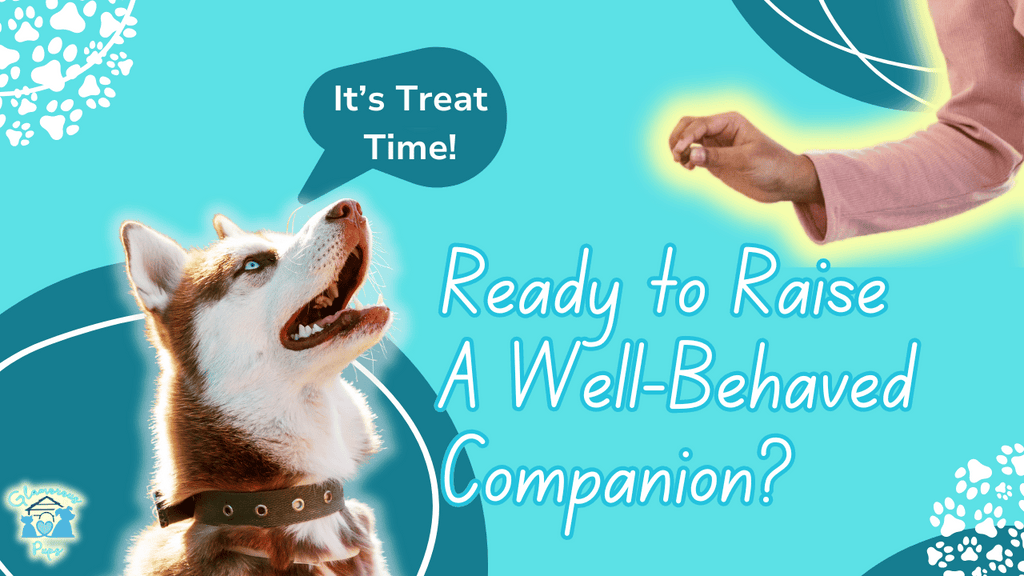 Puppy Training Made Fun: Master the Art of Raising a Well-Behaved Companion!