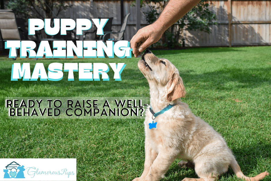 Puppy Training Mastery: A Guide to Raising a Well-Behaved Companion