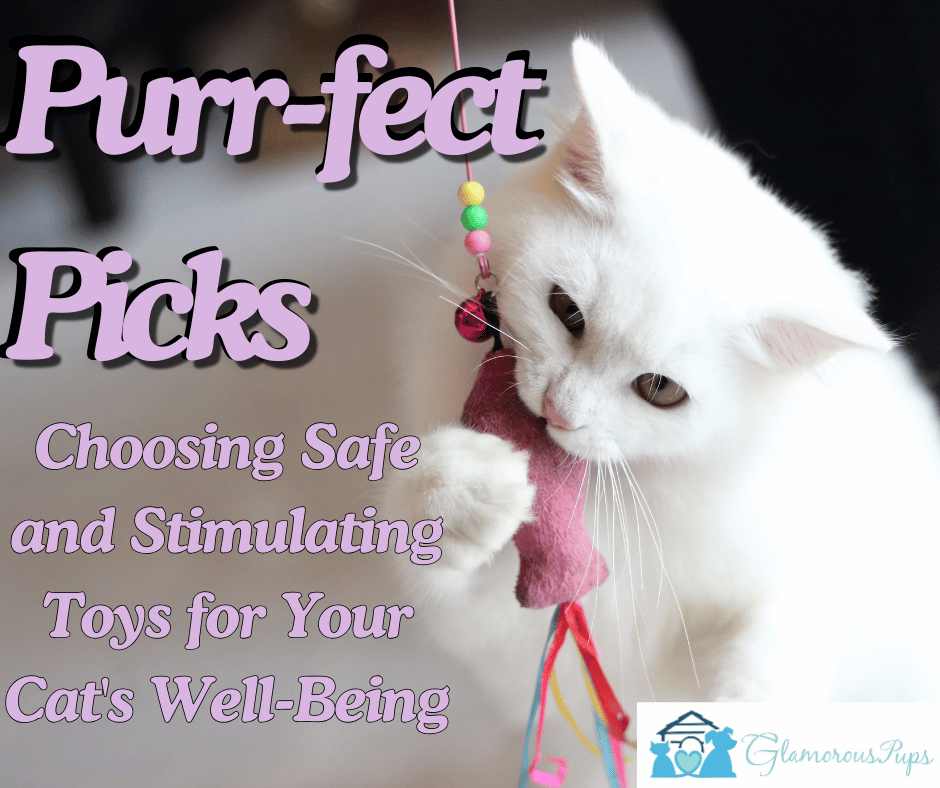 Purr-fect Picks: Choosing Safe and Stimulating Toys for Your Cat's Well-Being