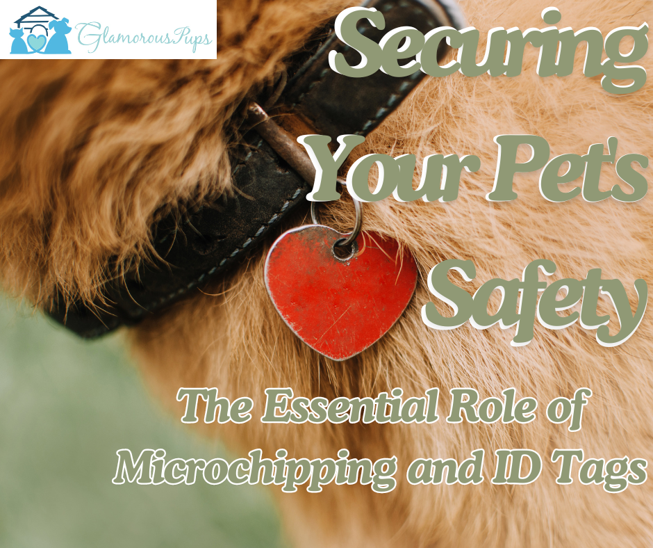 Securing Your Pet's Safety: The Essential Role of Microchipping and ID Tags