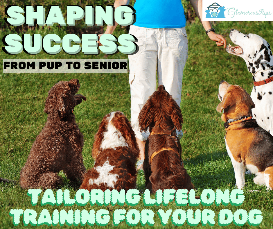 Shaping Success: Tailoring Lifelong Training for Your Dog