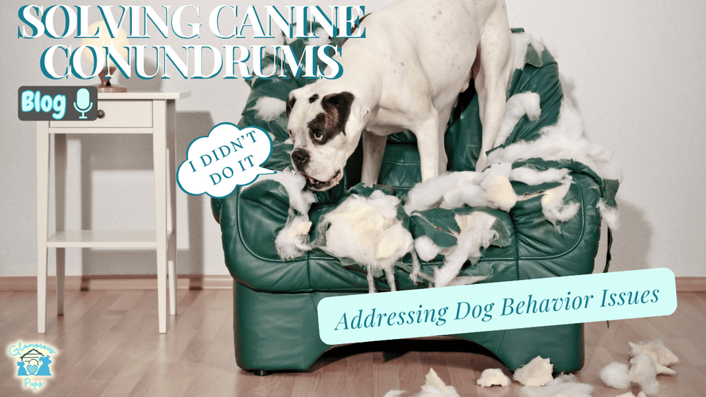 Solving Canine Conundrums: Effective Strategies for Addressing Dog Behavior Issues