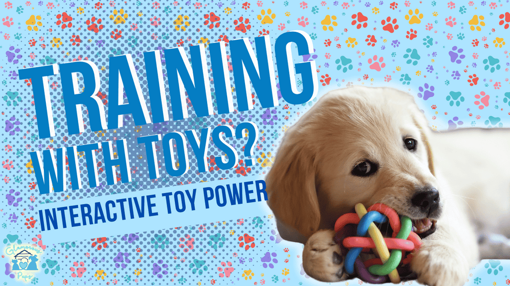 Boost Your Dog's Training: Fun Games for Better Learning!