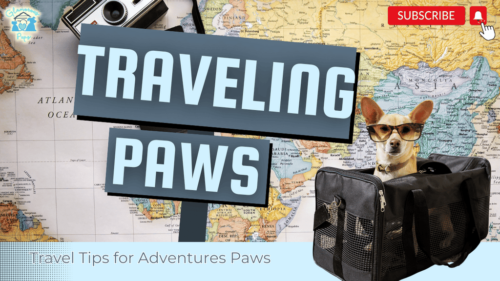 Adventurous Paws: Must-Know Safety Tips for Traveling with Your Dog