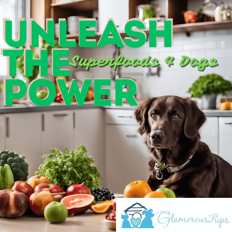 Superfoods for Super Pups: Unleashing the Power of Pawsome Nutrition for Your Dog