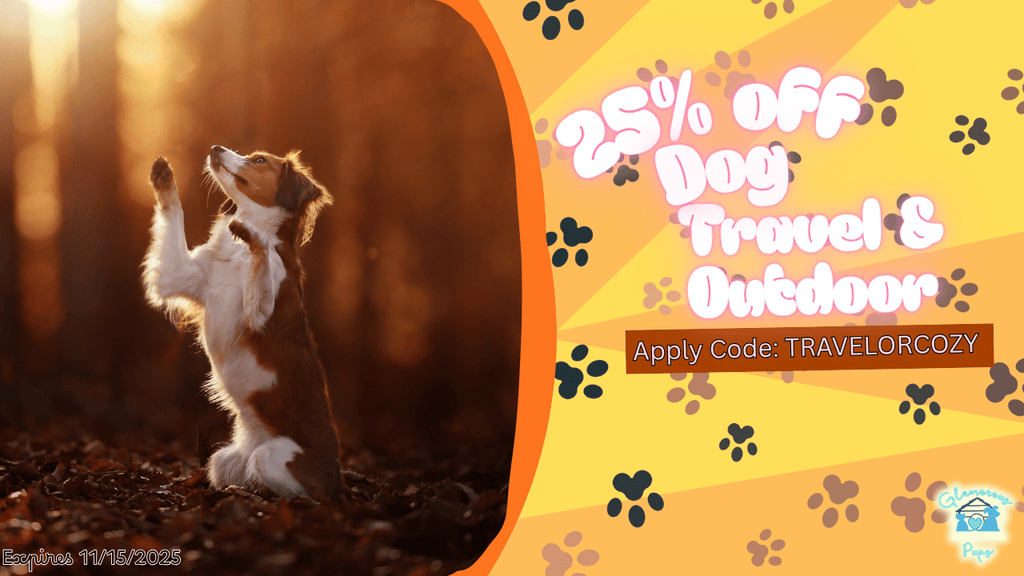 Adventure Awaits—Just Add Paw Prints!