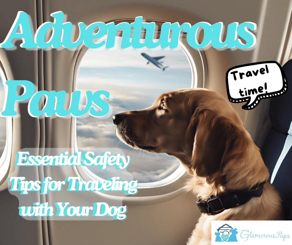 Adventurous Paws: Essential Safety Tips for Traveling with Your Dog