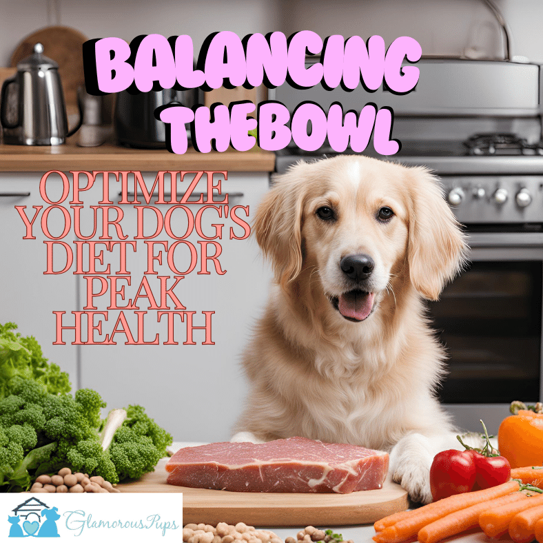 Balancing the Bowl: Optimize Your Dog's Diet for Peak Health