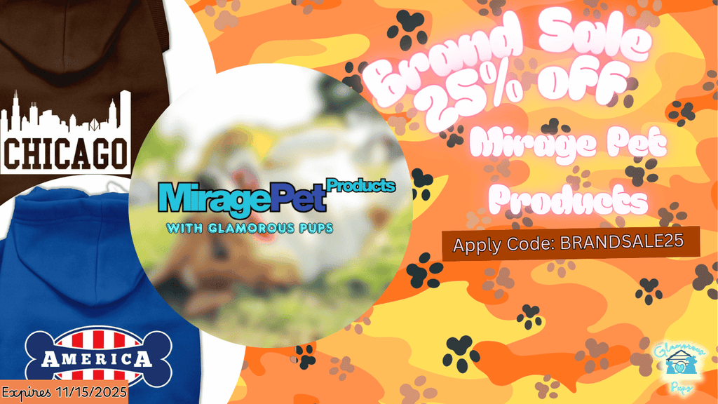 Bold, Fun, and Full of Personality