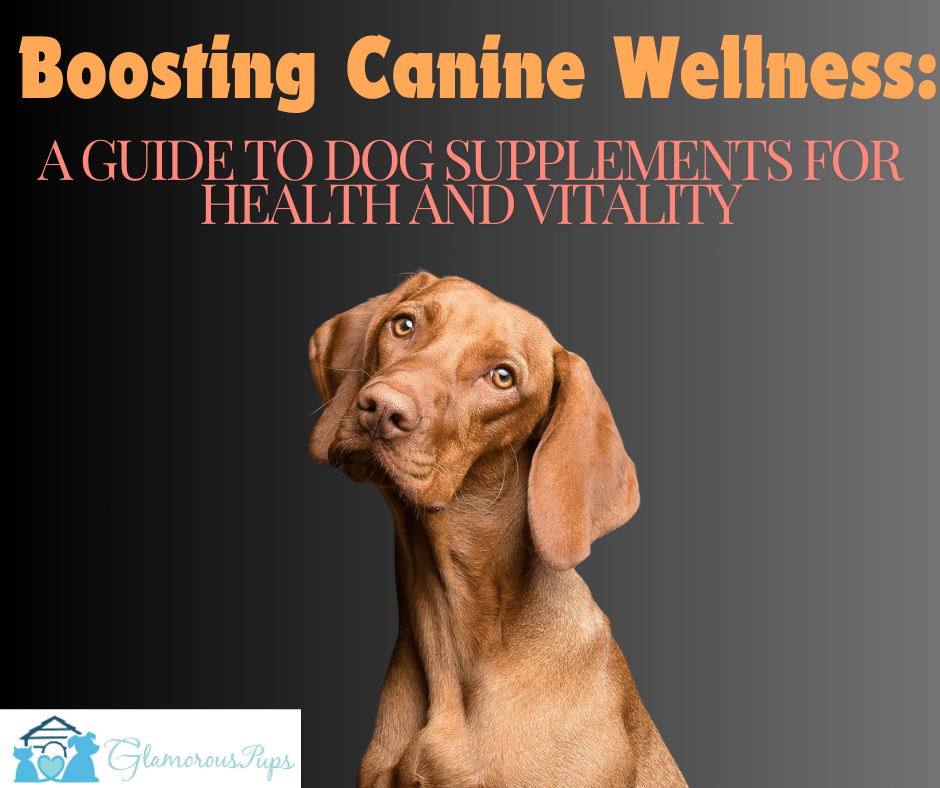 Boosting Canine Wellness: A Guide to Dog Supplements for Health and Vitality