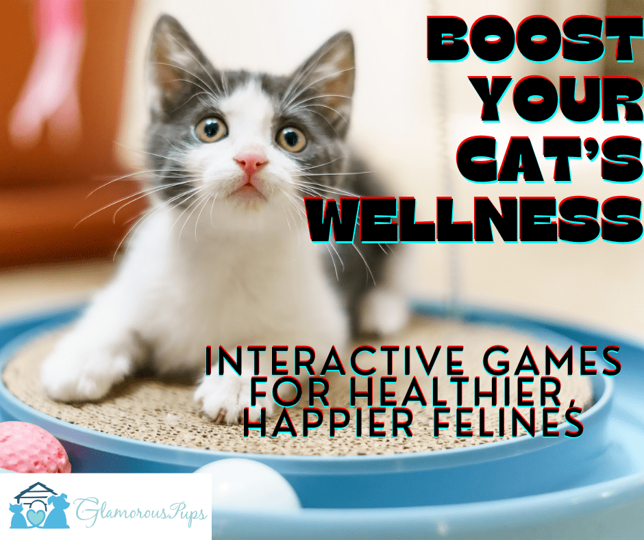 Boosting Cat Wellness: Interactive Games for Healthier, Happier Felines