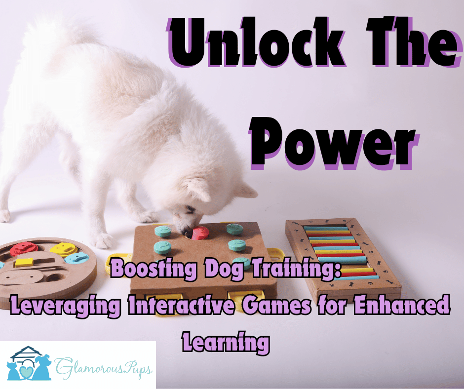 Boosting Dog Training: Leveraging Interactive Games for Enhanced Learning