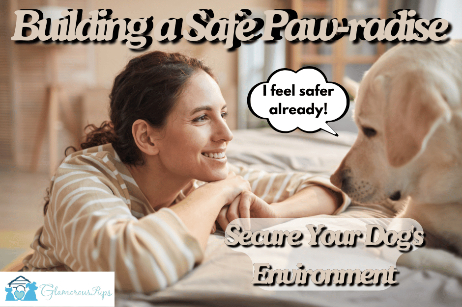 Building a Safe Paw-radise: A Guide to Securing Your Dog's Environment