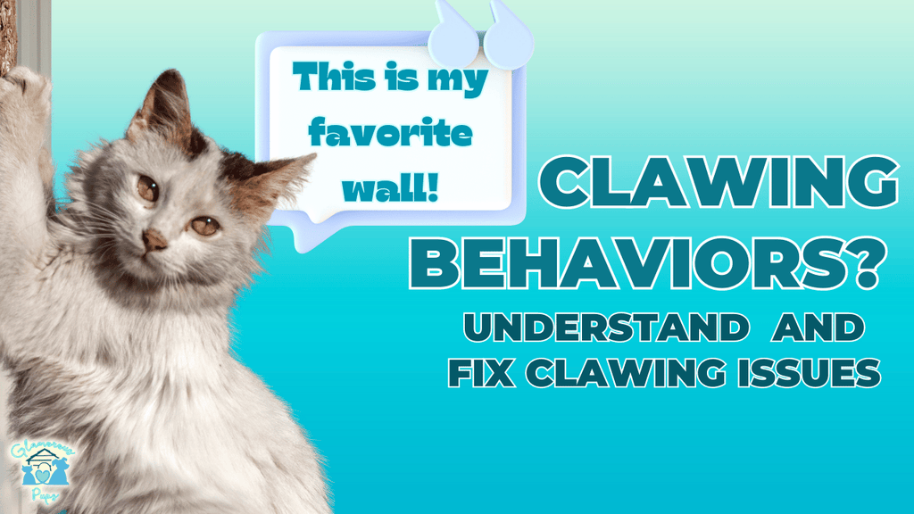 Calm Those Claws Easy Tips to Manage Aggressive Cat Behavior!