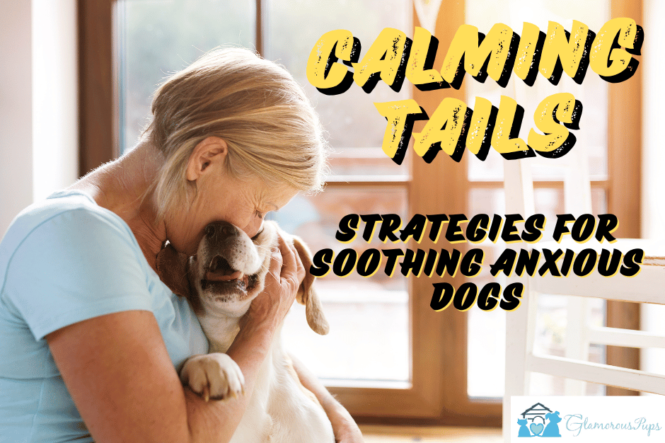 Calming Tails: Holistic Strategies for Soothing Anxious Dogs