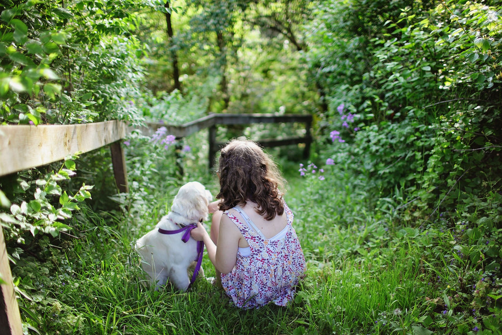 Safe Steps for Small Paws: A Guide to Teaching Children About Dog Safety