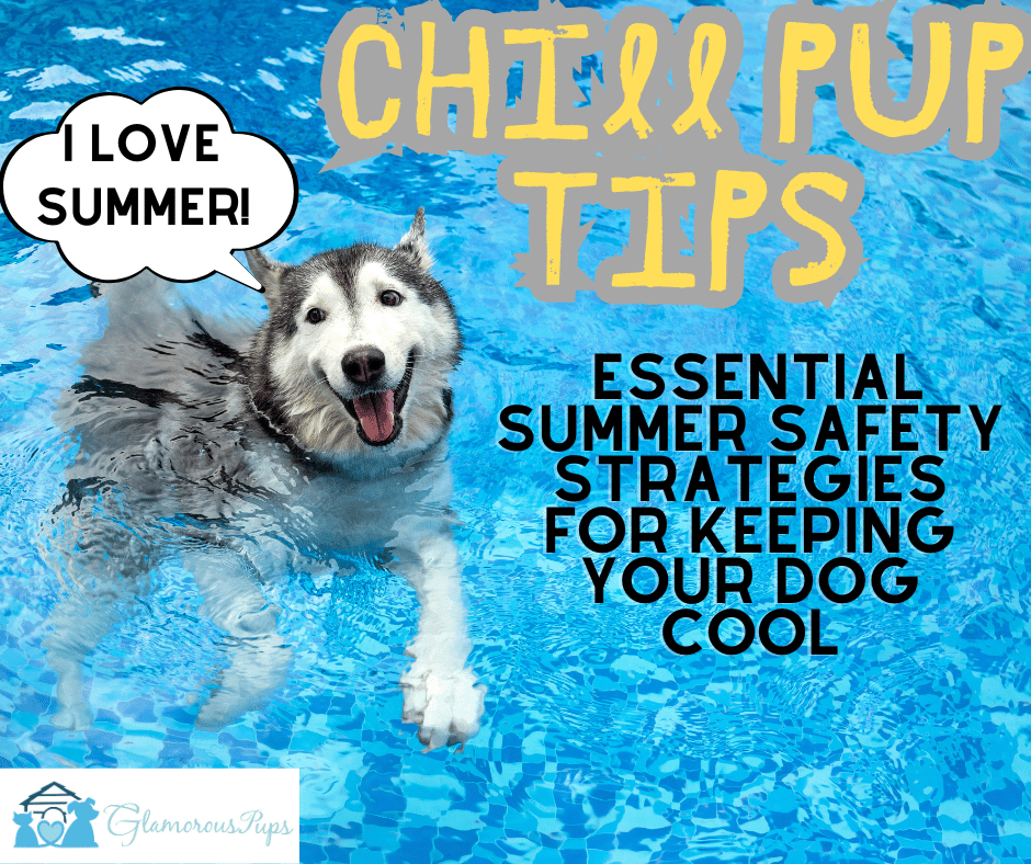 Chill Pup Tips: Essential Summer Safety Strategies for Keeping Your Dog Cool