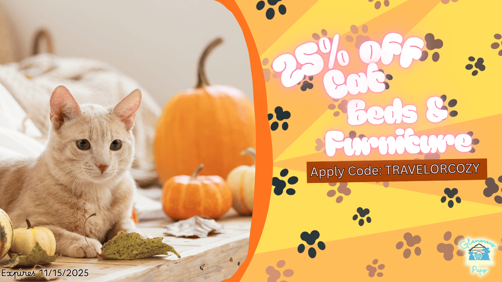 Cozy Corners & Catnaps Just Got Cuter!