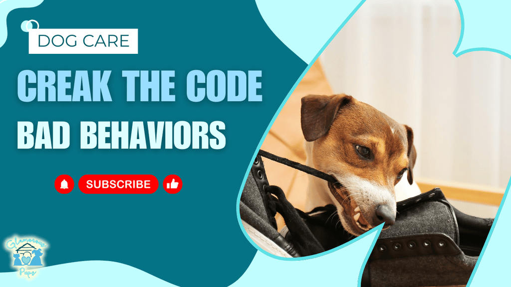 Cracking the Code: Proven Solutions for Dog Behavior Issues