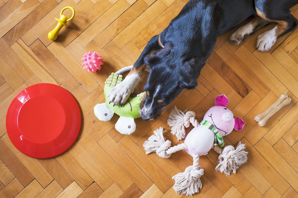 Crafting Canine Joy: DIY Dog Toys for Entertainment and Safety