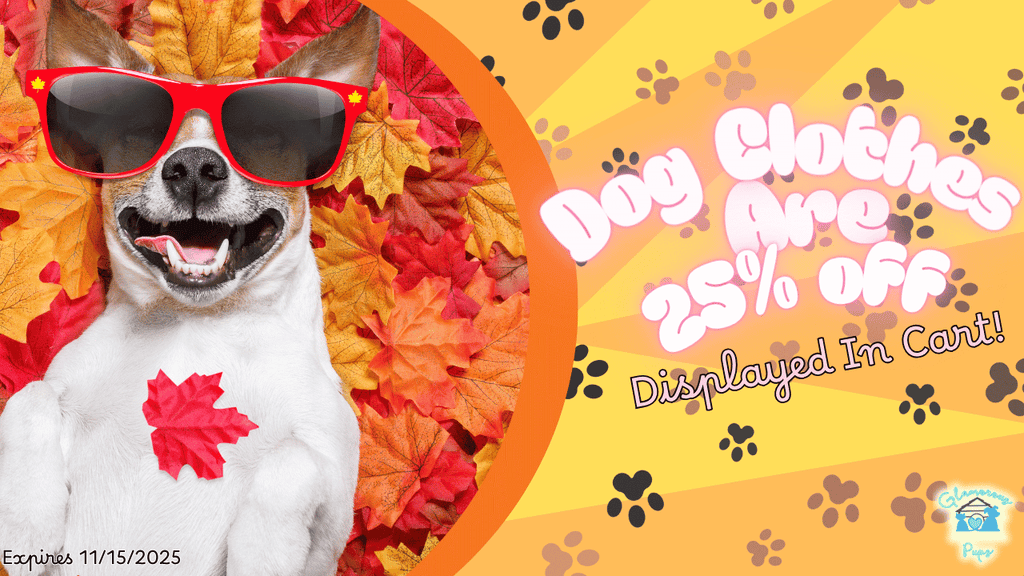 Fall Fashion Has Arrived at Glamorous Pups!