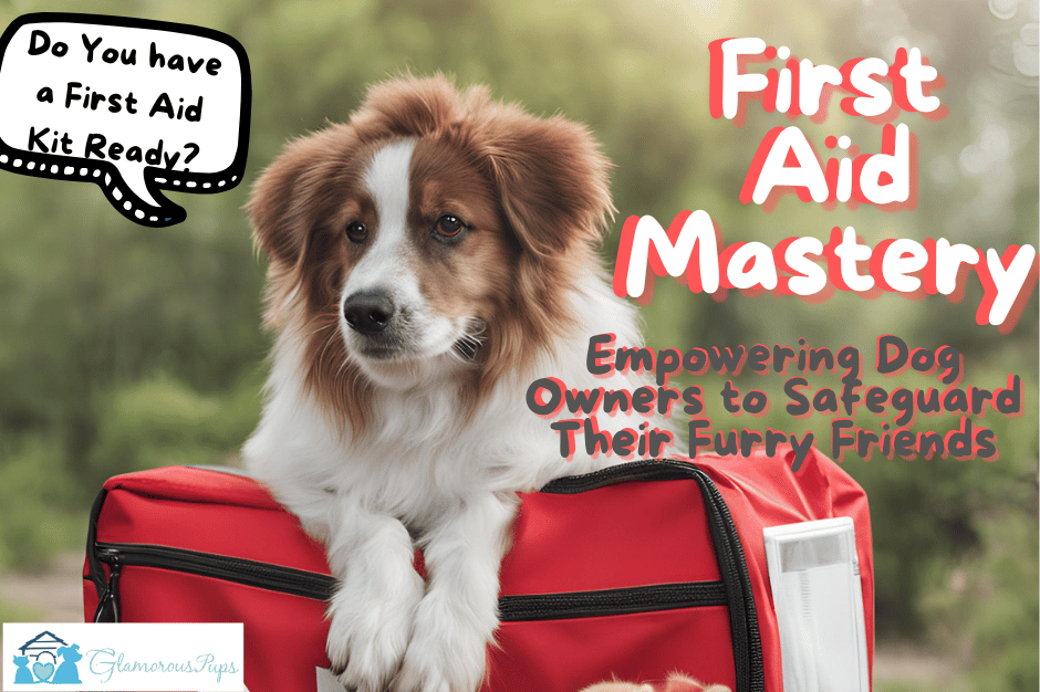 First Aid Mastery: Empowering Dog Owners to Safeguard Their Furry Friends