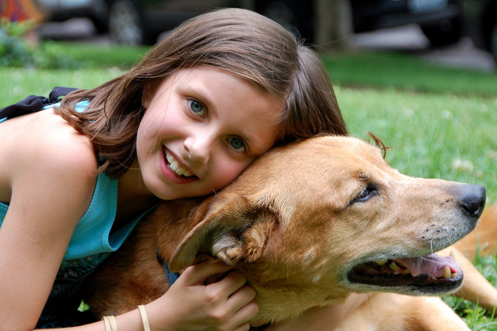 Pawsitive Impact: The Transforming Force of Pet Adoption